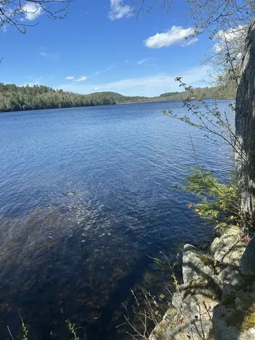 1548 46 Bucksport ME 04416