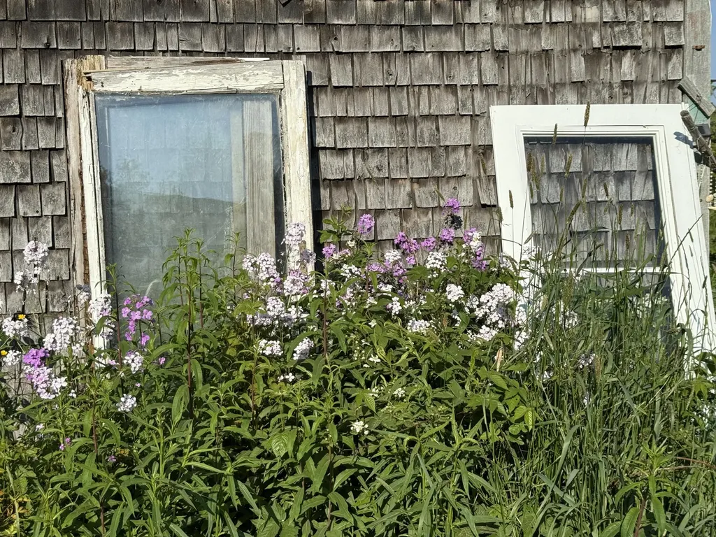 1155 Boot Cove Road Lubec ME 04652