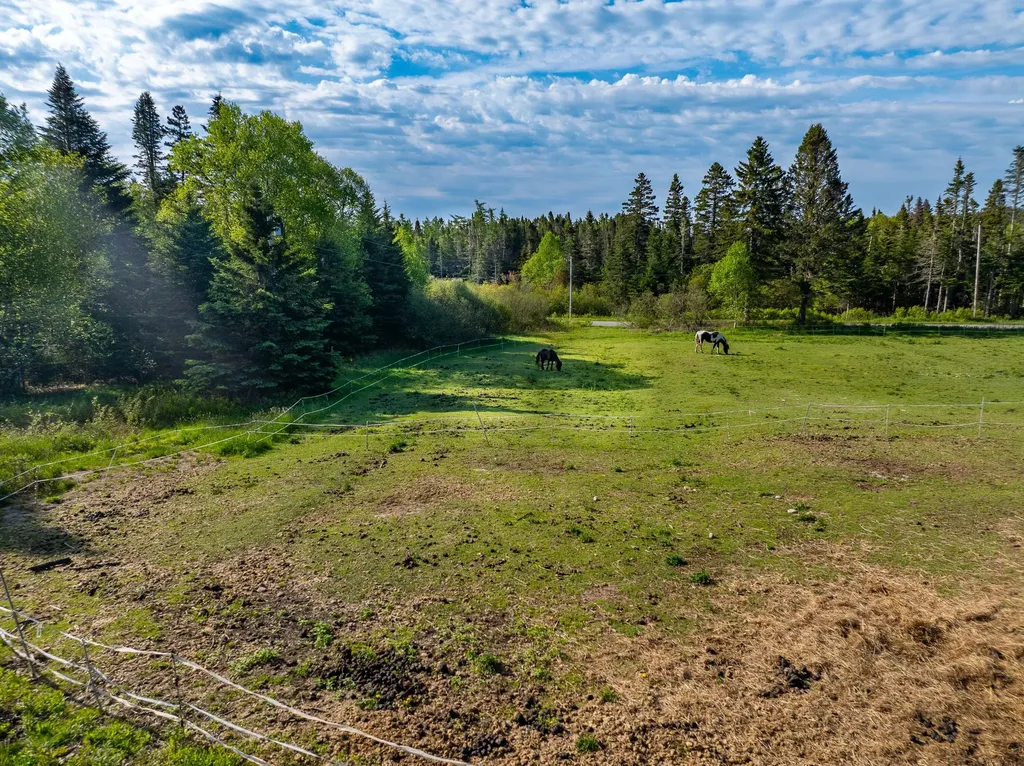 1155 Boot Cove Road Lubec ME 04652