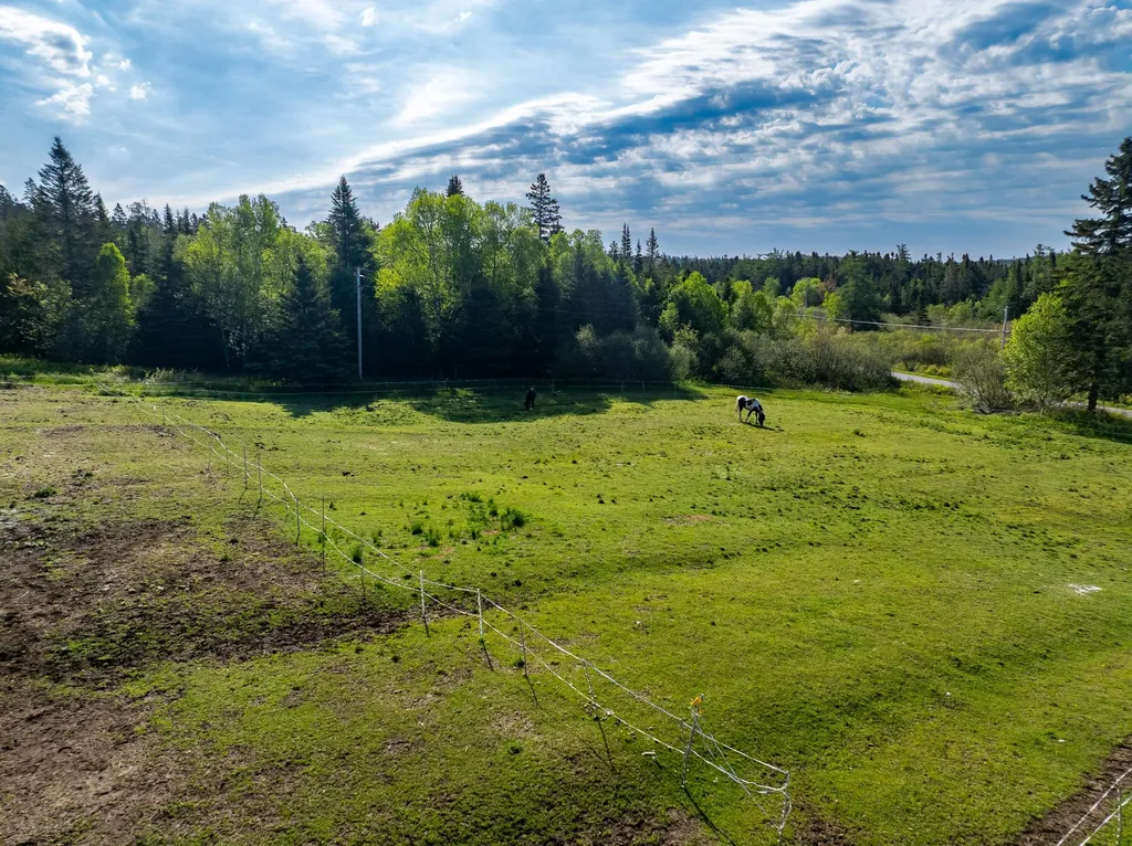 1155 Boot Cove Road Lubec ME 04652