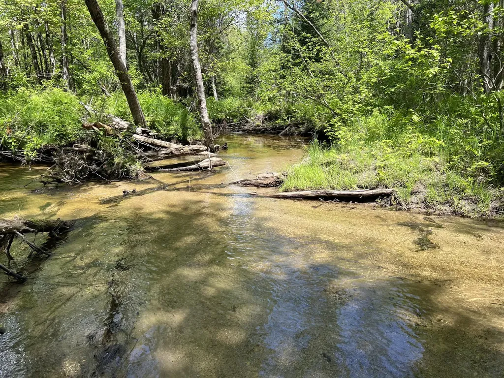 Lot A Goodwin Road Carthage ME 04224