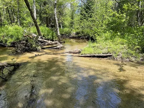 Lot A Goodwin Road Carthage ME 04224