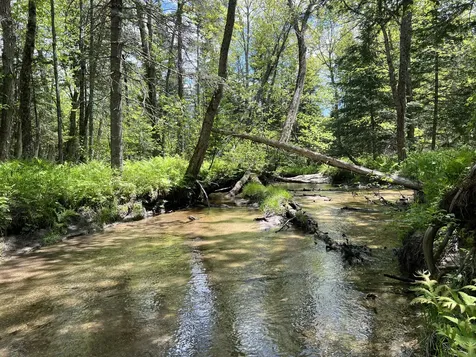 Lot A Goodwin Road Carthage ME 04224