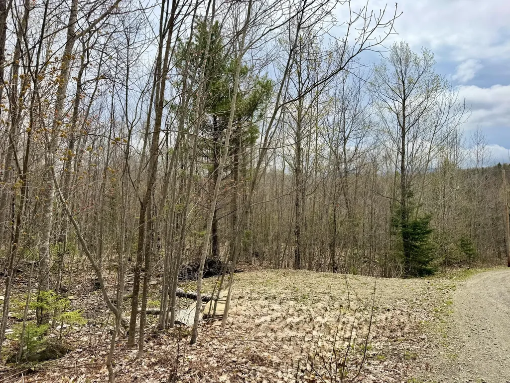 Lot 2 Mooseley Ridge Road Phillips ME 04966