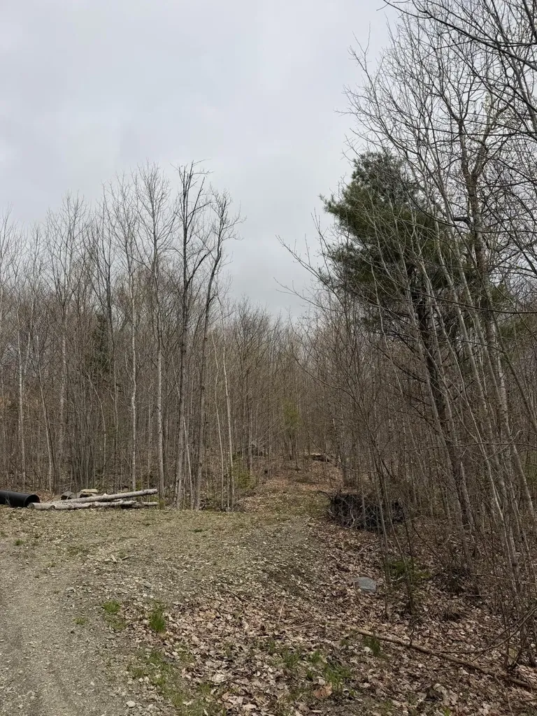 Lot 2 Mooseley Ridge Road Phillips ME 04966