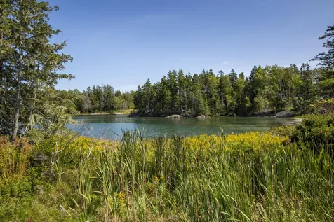 194 Ames Point Road North Haven ME 04853