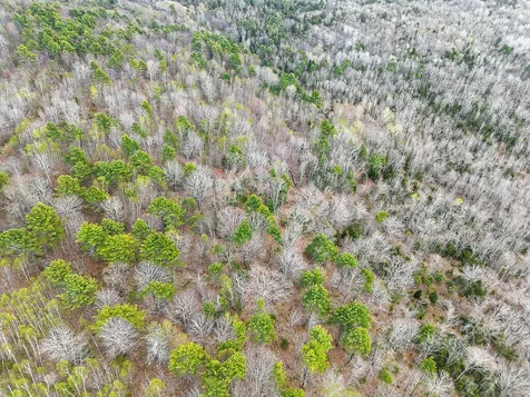 501 Noyes Road Waldoboro ME 04572