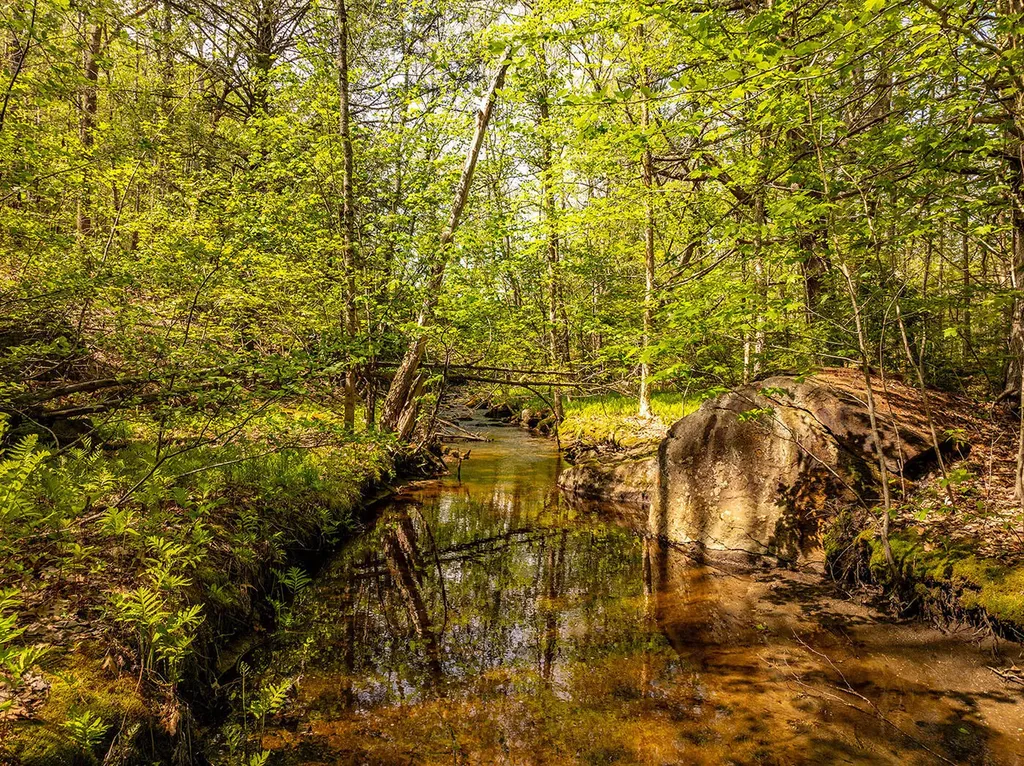 304 Beach Road Lincolnville ME 04849