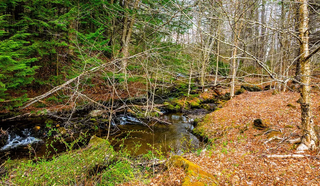 304 Beach Road Lincolnville ME 04849