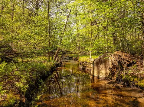 304 Beach Road Lincolnville ME 04849