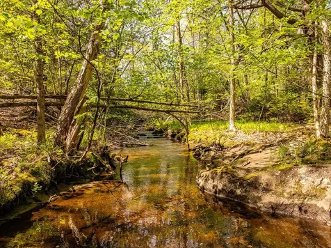 304 Beach Road Lincolnville ME 04849