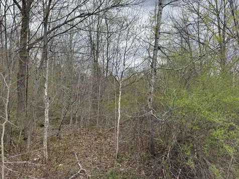 00 State Highway 150 Parkman ME 04443