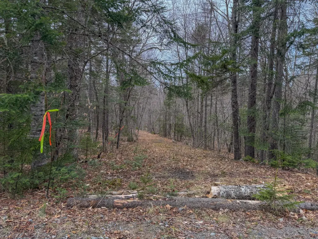 3 Beaver Bottom Road Greenville ME 04441