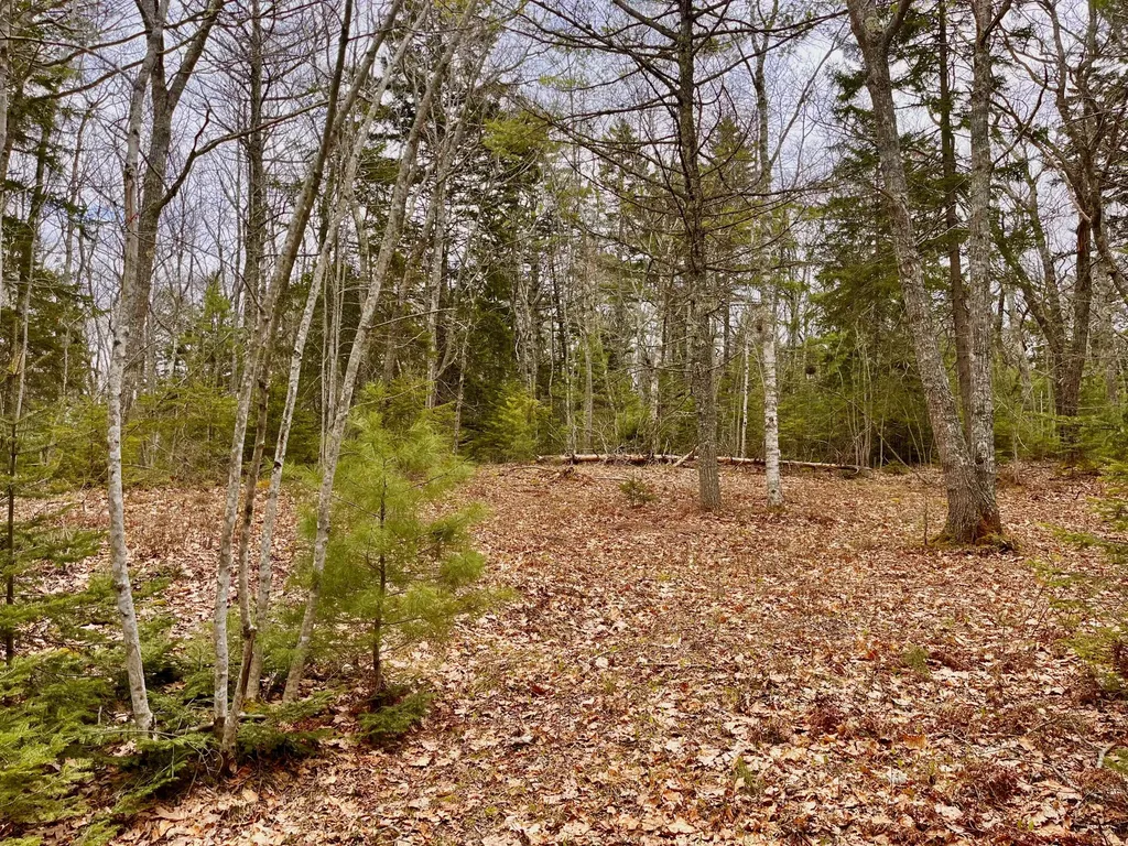 92L Russell Road Bristol ME 04541