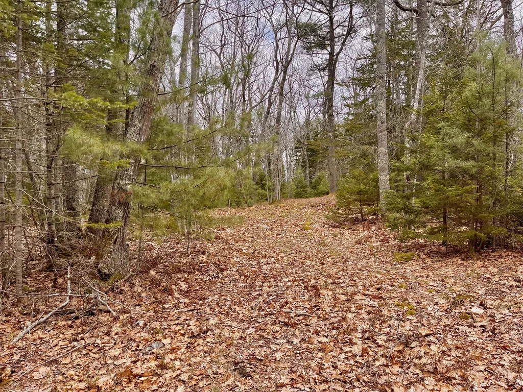 92L Russell Road Bristol ME 04541
