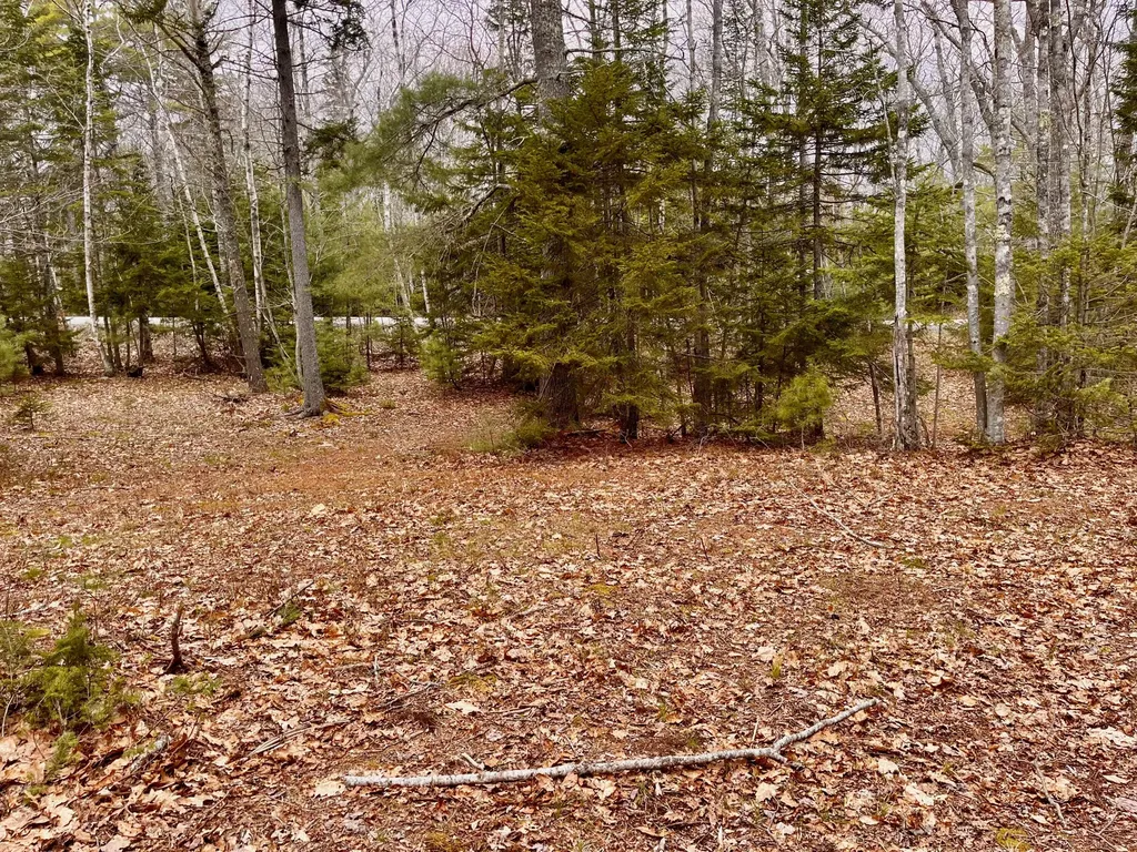 92L Russell Road Bristol ME 04541