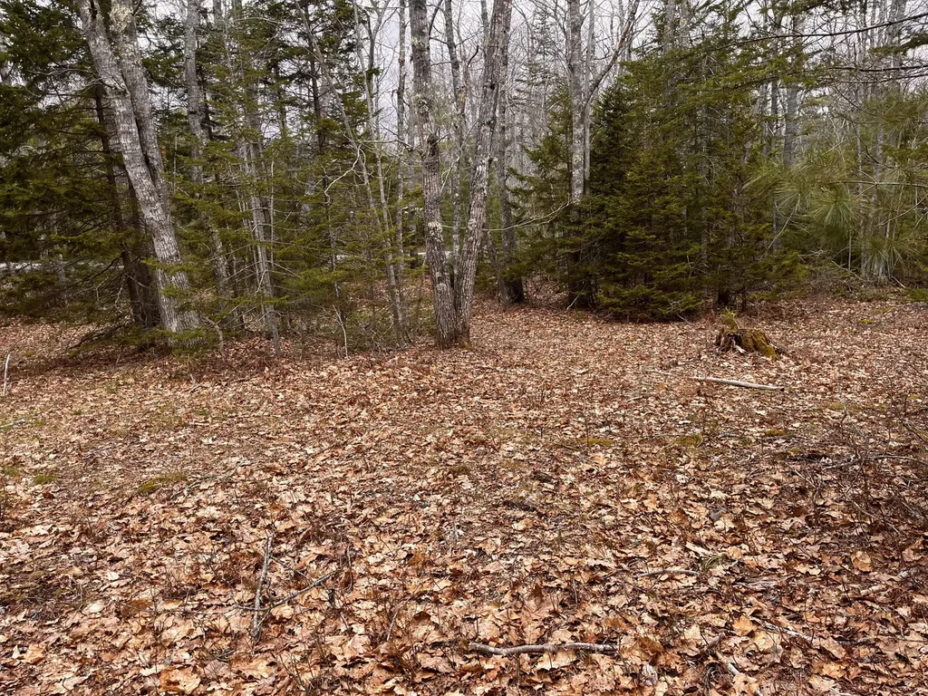 92L Russell Road Bristol ME 04541
