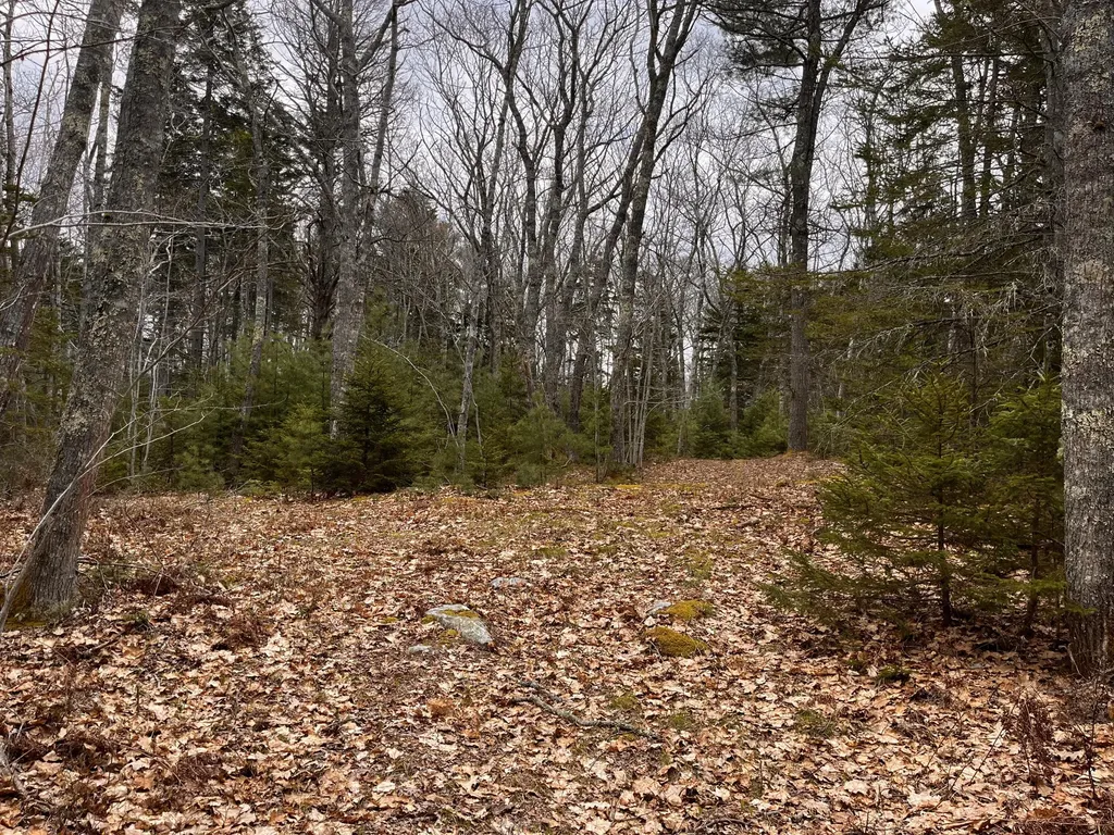 92L Russell Road Bristol ME 04541