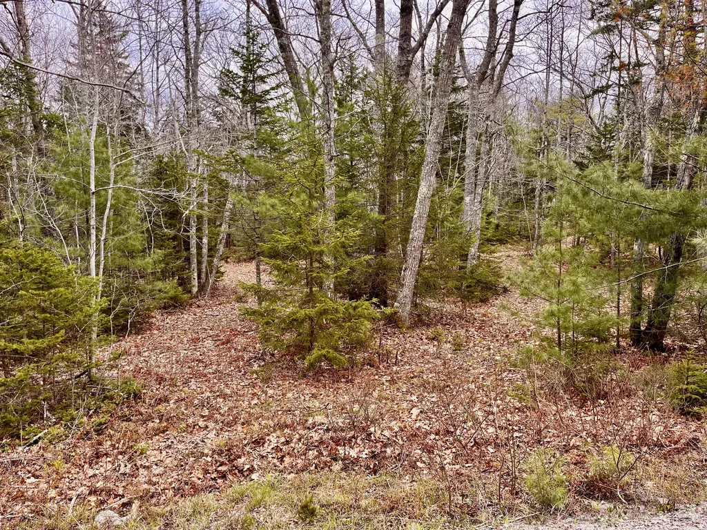 92L Russell Road Bristol ME 04541