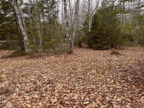 92L Russell Road Bristol ME 04541