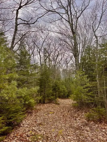 92L Russell Road Bristol ME 04541