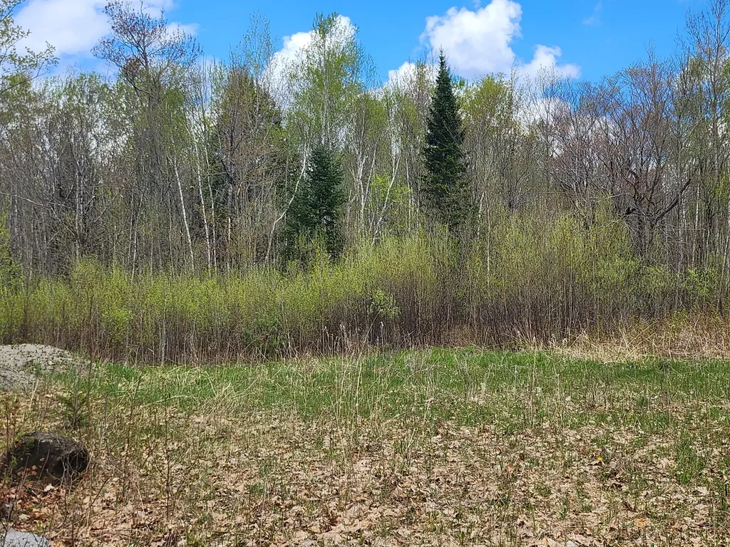 Lot 29-8 Windfall Lane Palmyra ME 04965