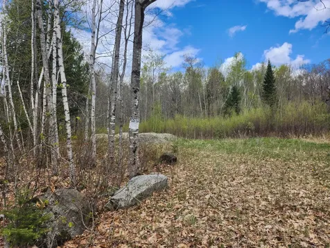 Lot 29-8 Windfall Lane Palmyra ME 04965