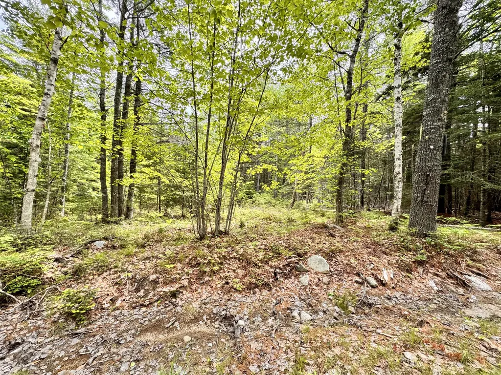 18-B Back Pasture Lane Blue Hill ME 04614