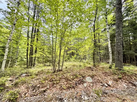 18-B Back Pasture Lane Blue Hill ME 04614