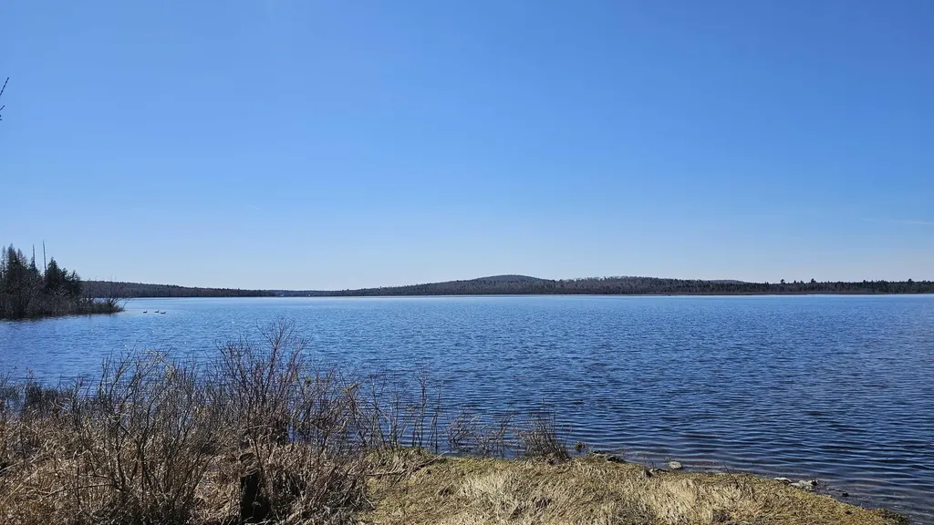 Lot 30 Off Condon Lane Portage Lake ME 04768