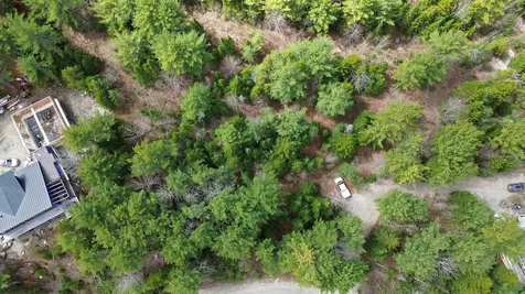 Lot 4 Bailey Mountain Road Franklin ME 04634