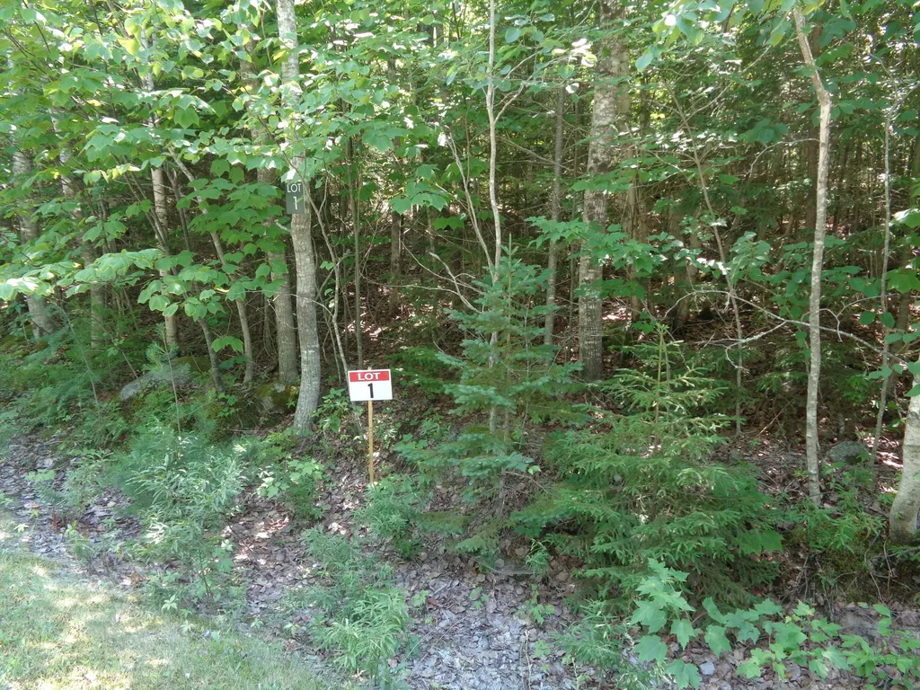 Lot 1 Bailey Mountain Road Franklin ME 04634