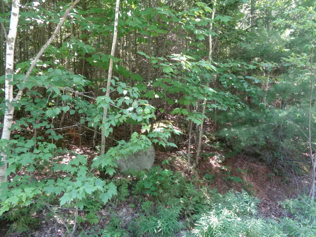 Lot 1 Bailey Mountain Road Franklin ME 04634