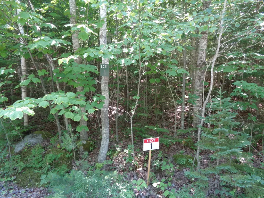 Lot 1 Bailey Mountain Road Franklin ME 04634