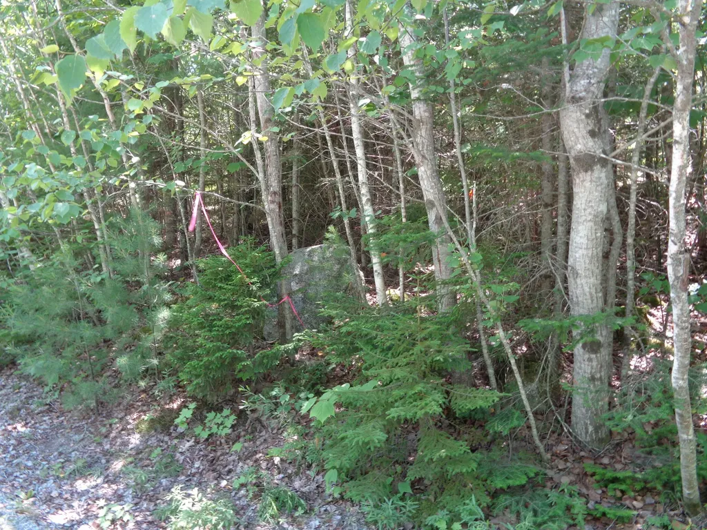 Lot 1 Bailey Mountain Road Franklin ME 04634