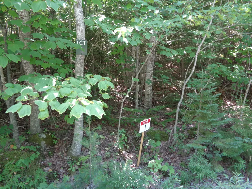 Lot 1 Bailey Mountain Road Franklin ME 04634