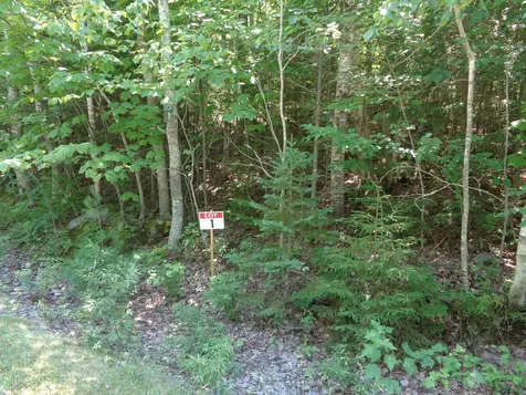 Lot 1 Bailey Mountain Road Franklin ME 04634