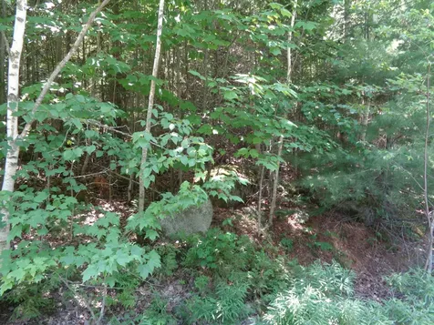 Lot 1 Bailey Mountain Road Franklin ME 04634
