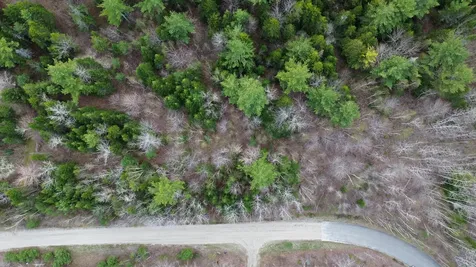 Lot 1 Bailey Mountain Road Franklin ME 04634