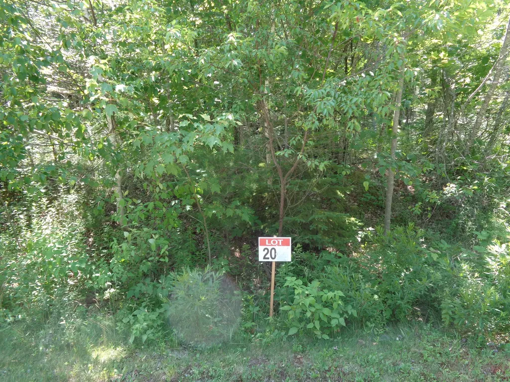 LOT20-20 Bailey Mountain Road Franklin ME 04634