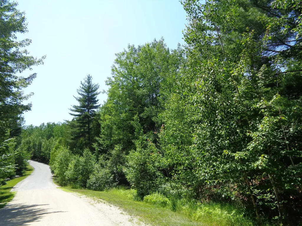 LOT20-20 Bailey Mountain Road Franklin ME 04634