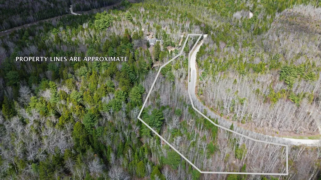 LOT20-20 Bailey Mountain Road Franklin ME 04634