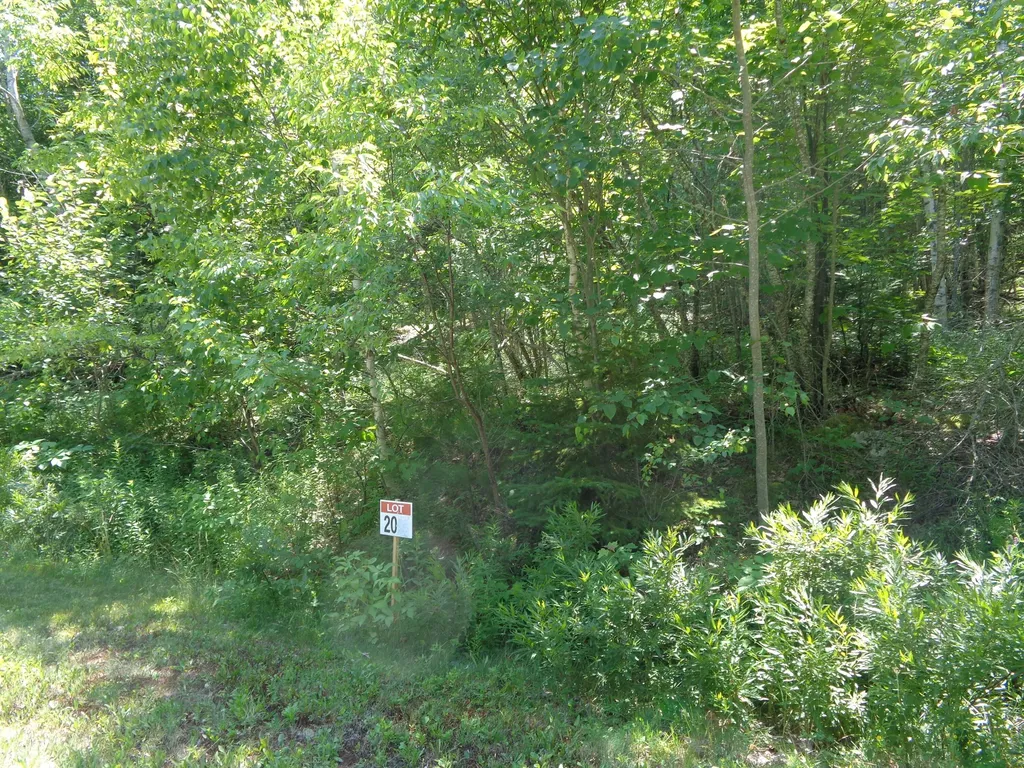 LOT20-20 Bailey Mountain Road Franklin ME 04634
