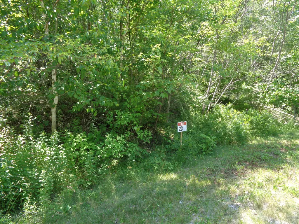 LOT20-20 Bailey Mountain Road Franklin ME 04634