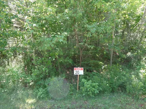 LOT20-20 Bailey Mountain Road Franklin ME 04634