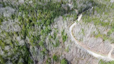 LOT20-20 Bailey Mountain Road Franklin ME 04634