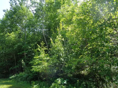 LOT20-20 Bailey Mountain Road Franklin ME 04634