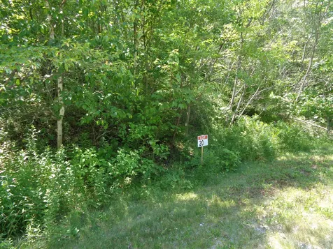 LOT20-20 Bailey Mountain Road Franklin ME 04634