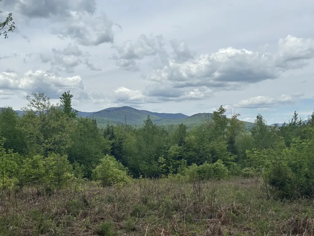 Lot #20 Hollis Drive (Eagle Ridge) Road Kingfield ME 04947