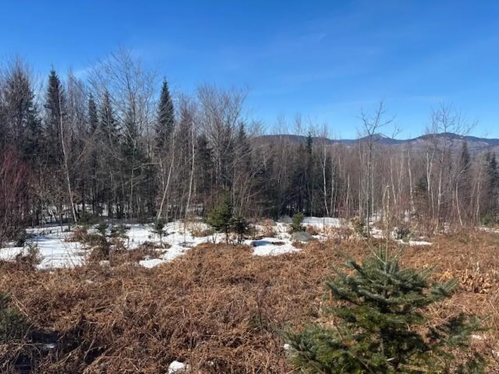 Lot #20 Hollis Drive (Eagle Ridge) Road Kingfield ME 04947